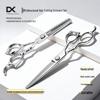 Professional Hairdressing Scissors