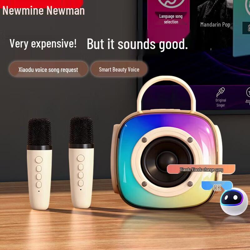 Newmine M81 Bluetooth KTV Speaker & Dual Wireless Microphone Set CN plug (adapter included)
