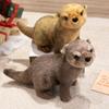 PP-Baumwolle Dickes Otter-Stofftierpuppen Weiches Simulations-Otter-Spielzeugpuppe Heimdekoration
