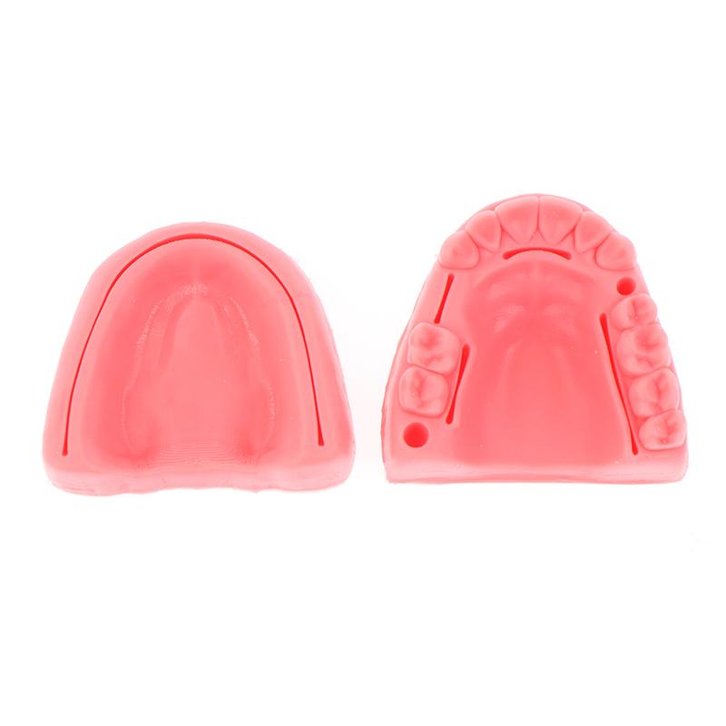 Teeth Gum Combination Model Silicone Material Training Suture Module