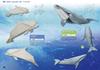 Origami Aquarium Origami of aquatic life