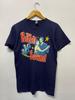 Vintage Y2K The Hush Sound Band T-Shirt / Rare / Indie Pop / American Jungle Pop Music / Rock T-Shirt / Blue / S