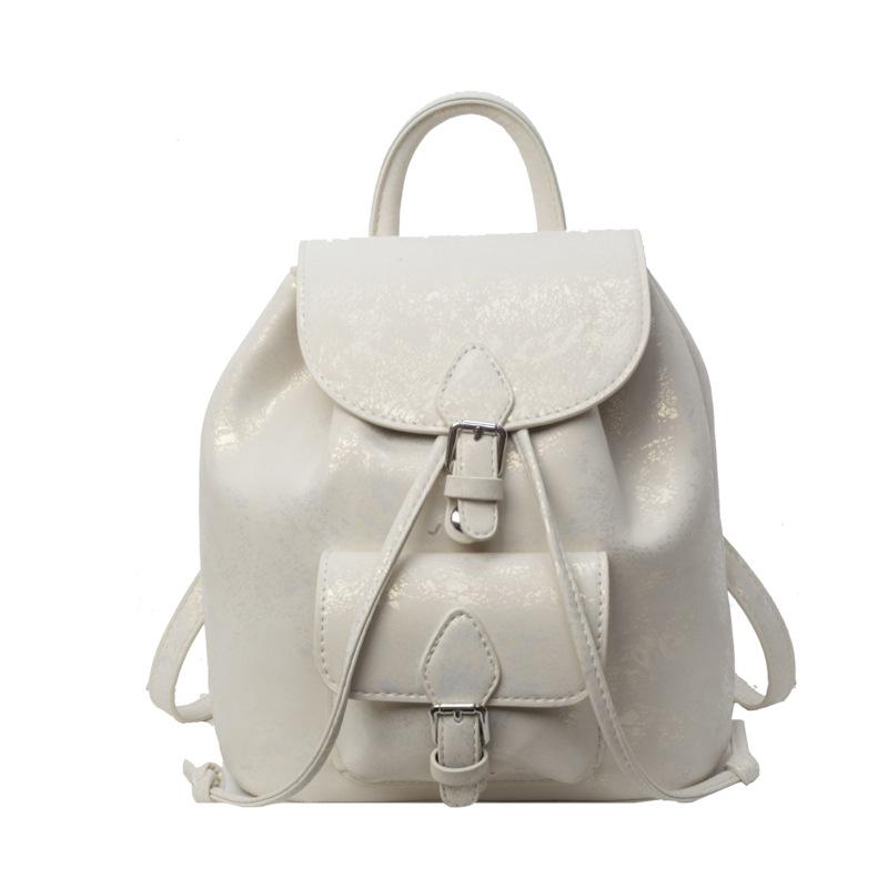 Simple Oblique Span Backpack Women's New Texture Fashionable Commuter Portable Backpack Tide