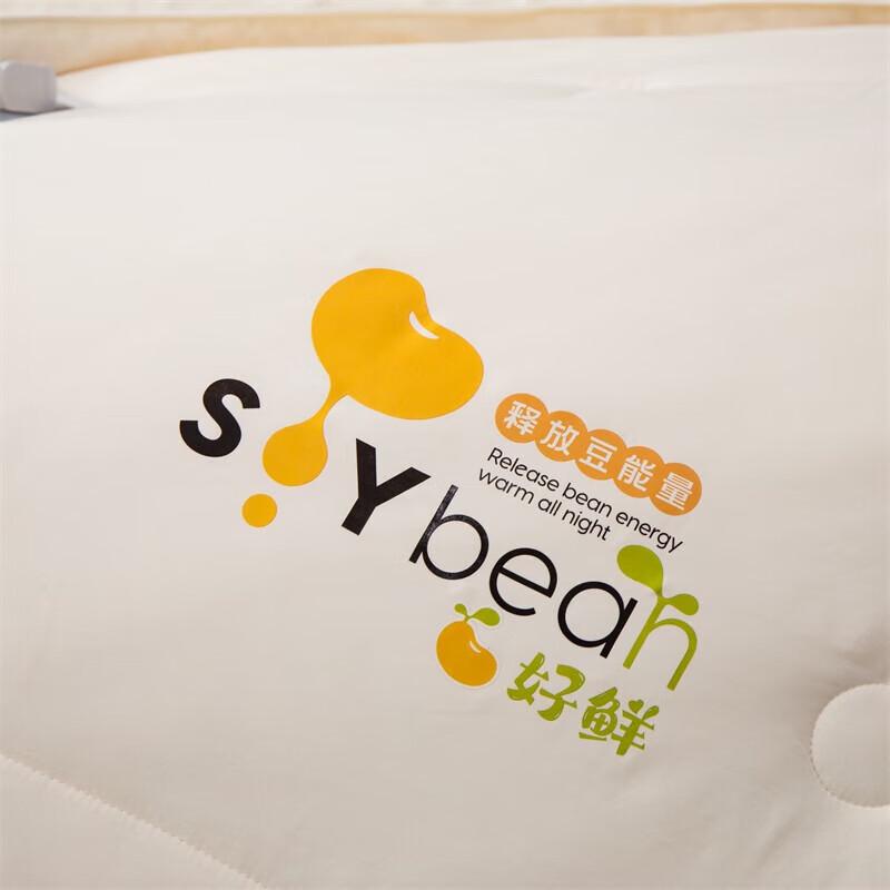 Southern Life Soy Blend Soft Cotton Winter Quilt