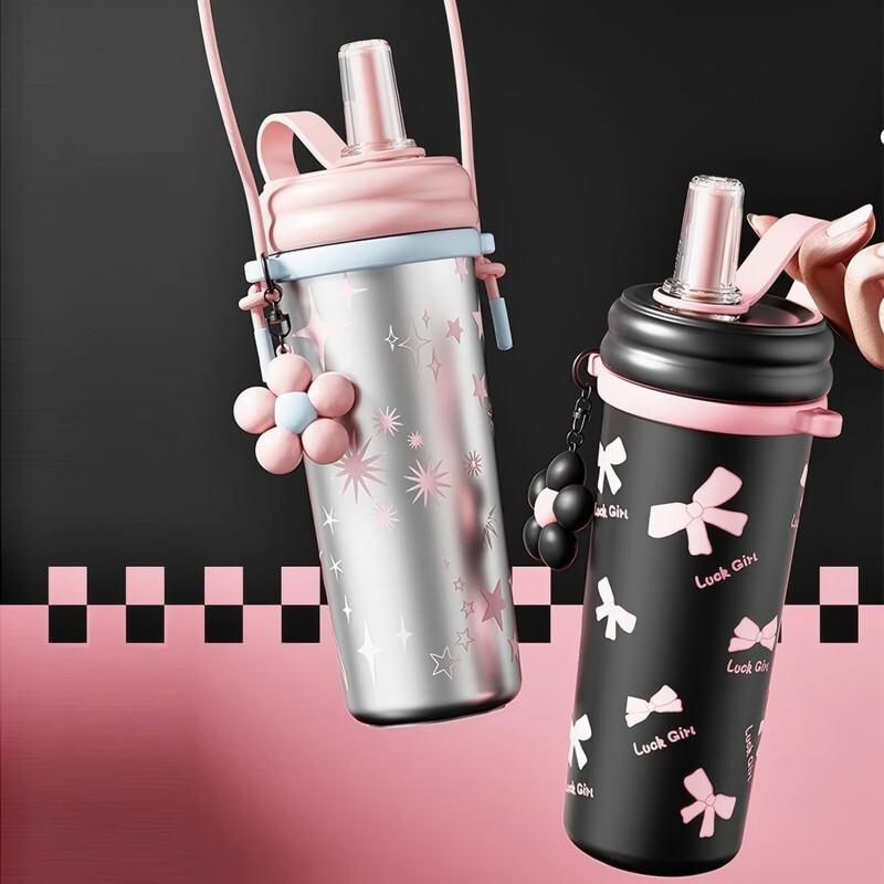 WZ316 Stainless Steel Insulated Straw Water Bottle