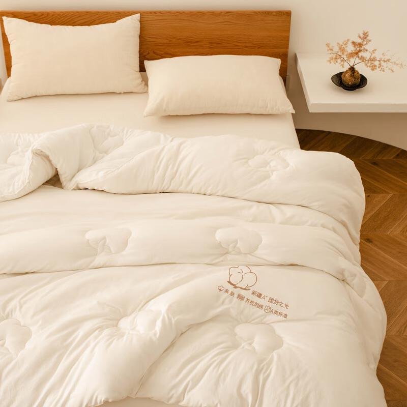 Embroidered Warm Polyester Fiber Quilt