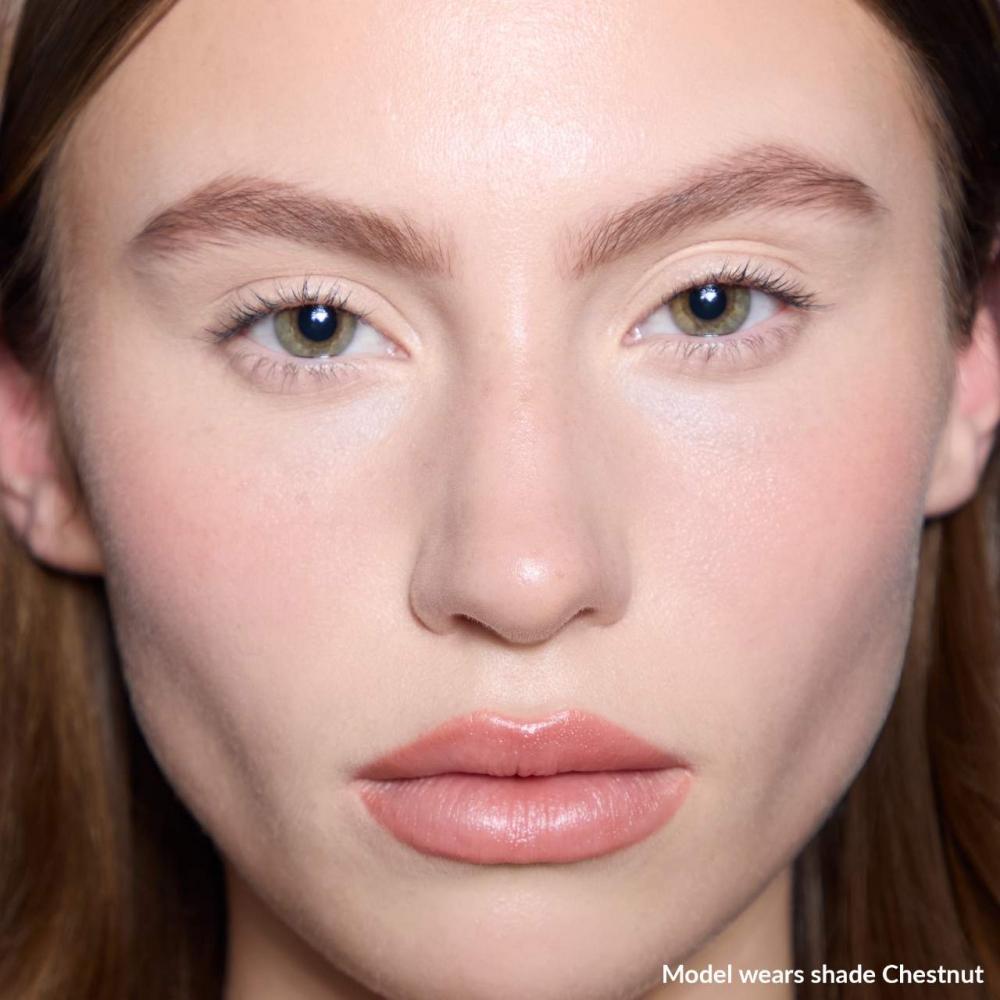 Refy Wenkbrauw Pomade 0,05 Oz 1,5 Ml Kastanje Middelbruin Met Een Warme Toon