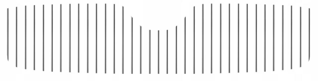 SKODA OCTAVIA - CHROME STRIPS FOR THE GRILL
