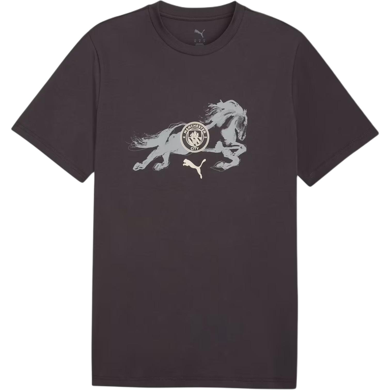 

Puma Манчестер Сити Год Лошади Футбольная футболка с круглым вырезом и коротким рукавом Мужские Топы 785918-03 XL