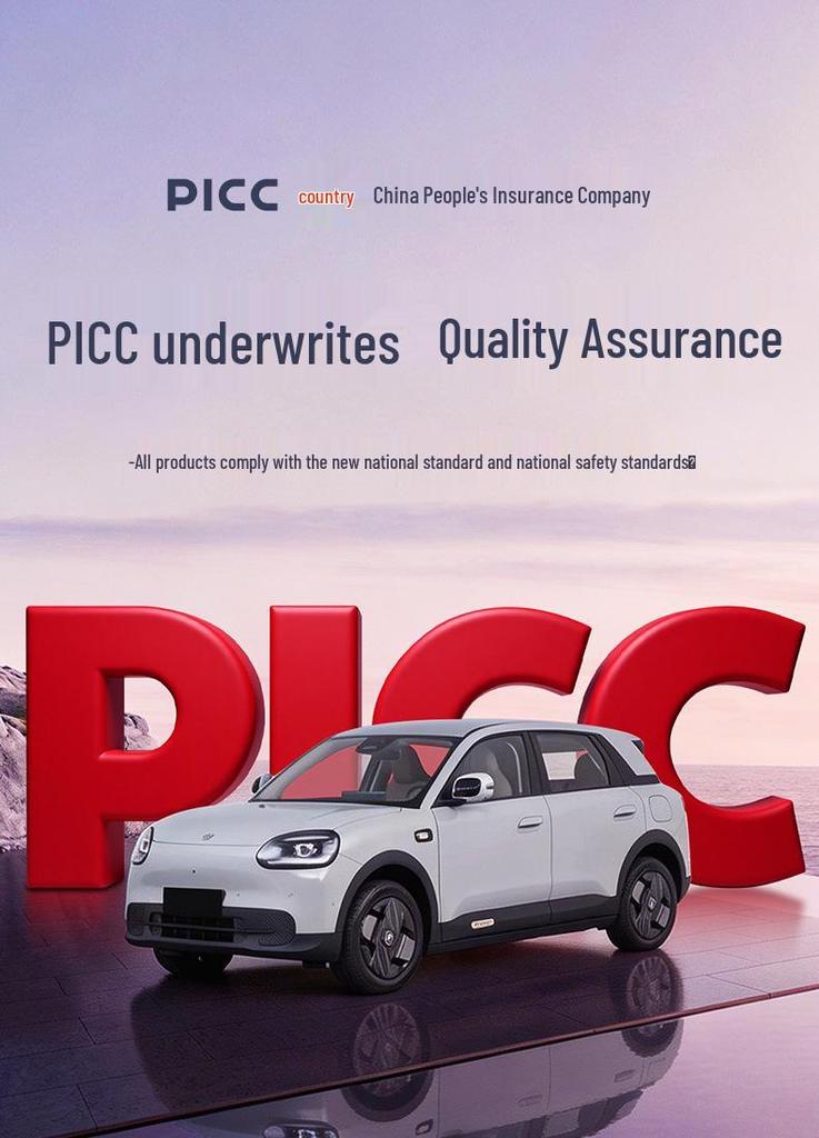 Full Coverage TPE Floor Mats for 26 Chery QQ3 EV Models