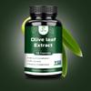 Olivenblatt-Extrakt Kapseln, 20 % Oleuropein, Immununterstützung, 500 mg, Für Erwachsene