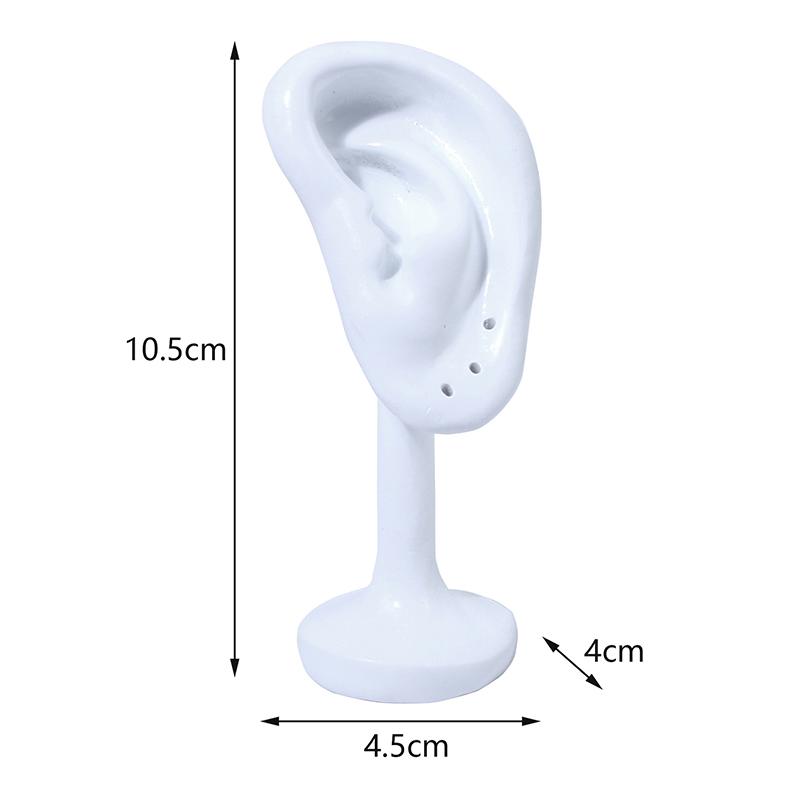 Portable Model Earings Display Stand For Shop Jewellery Display Props Ear Clip Storage Rack Personality Shooting Props