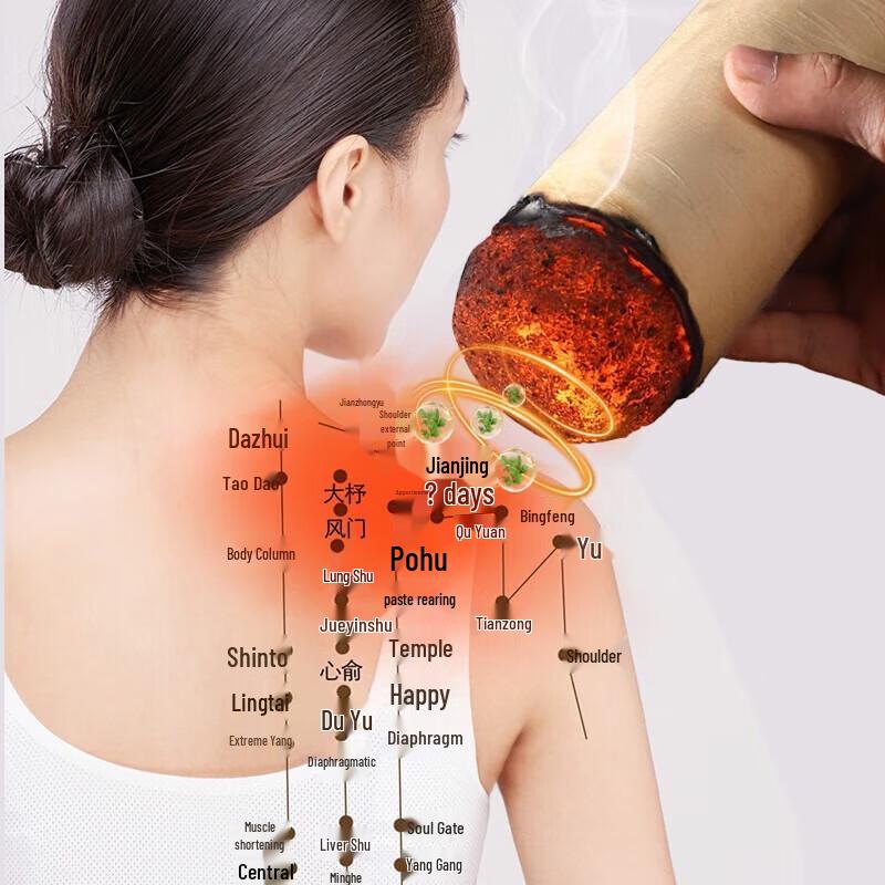 Hezheng Moxibustion Therapy Gift Set CN Plug (adapter Included)