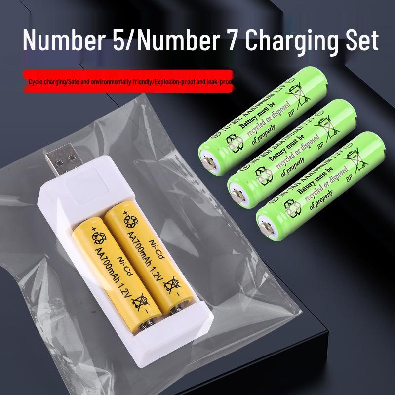 Dual-Slot Battery Charger for AA & AAA Ni-Cd 1.2V: Ideal for Toys, Microphones, and Mice.