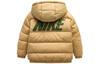 Kids' Nike Pre-school Down Jackets Hooded Moderate