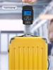 High-Precision Portable Fishing and Vegetable Scale: Compact Handheld Electronic Gram Scale