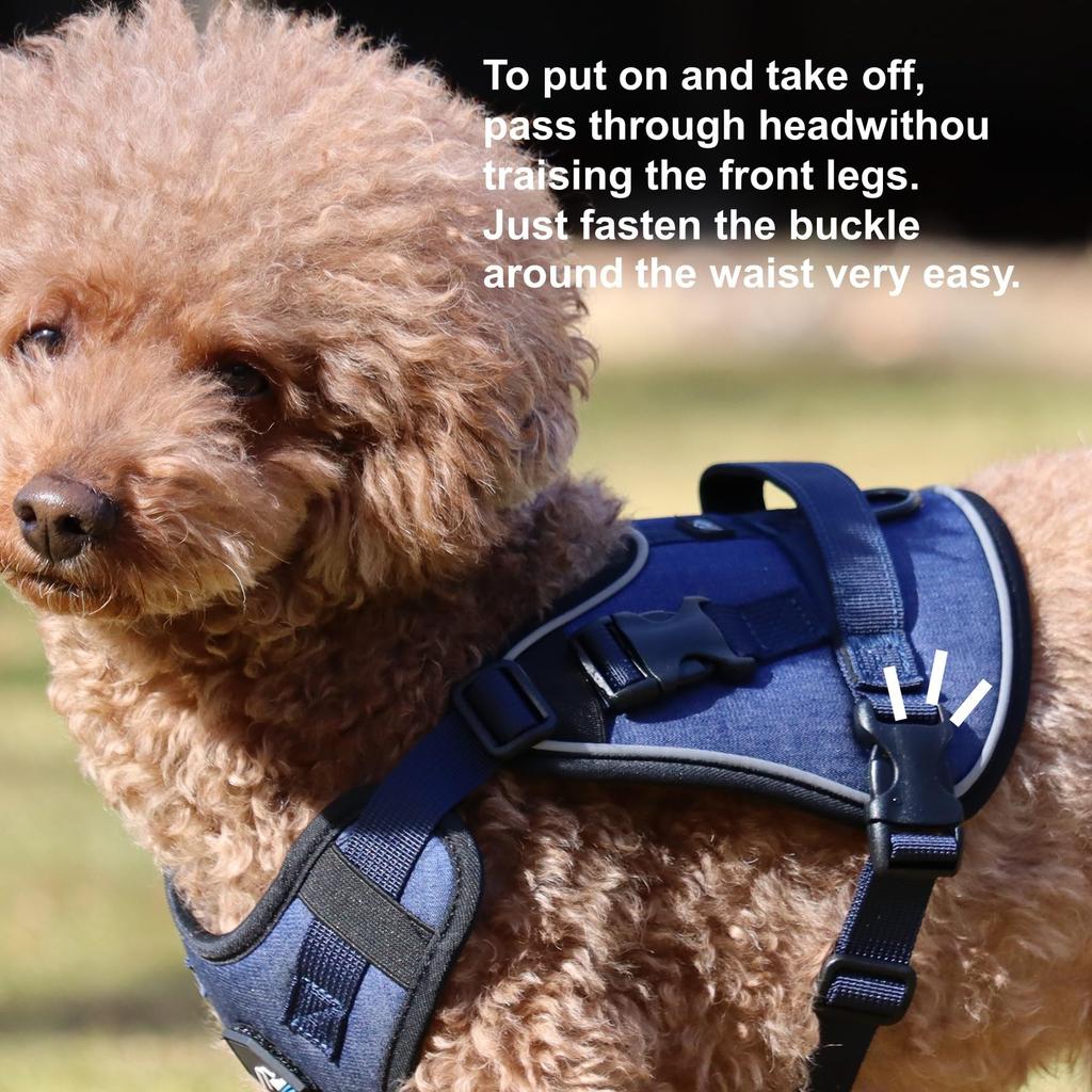 Hakusan Zero Four Harness (XS, Red)