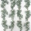 Foliage Leaf Eucalyptus For Wedding Backgrounds Outdoor Decoration Photography
