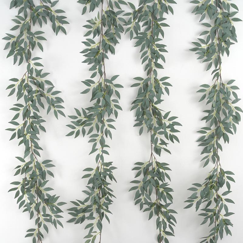 Leaf Foliage Eucalyptus For Wedding Backgrounds Outdoor Decoration Photography