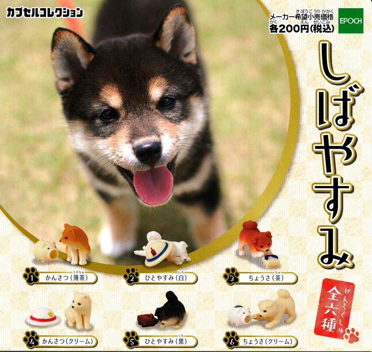 

Shibayasumi of 6 types [Set (full complete)]