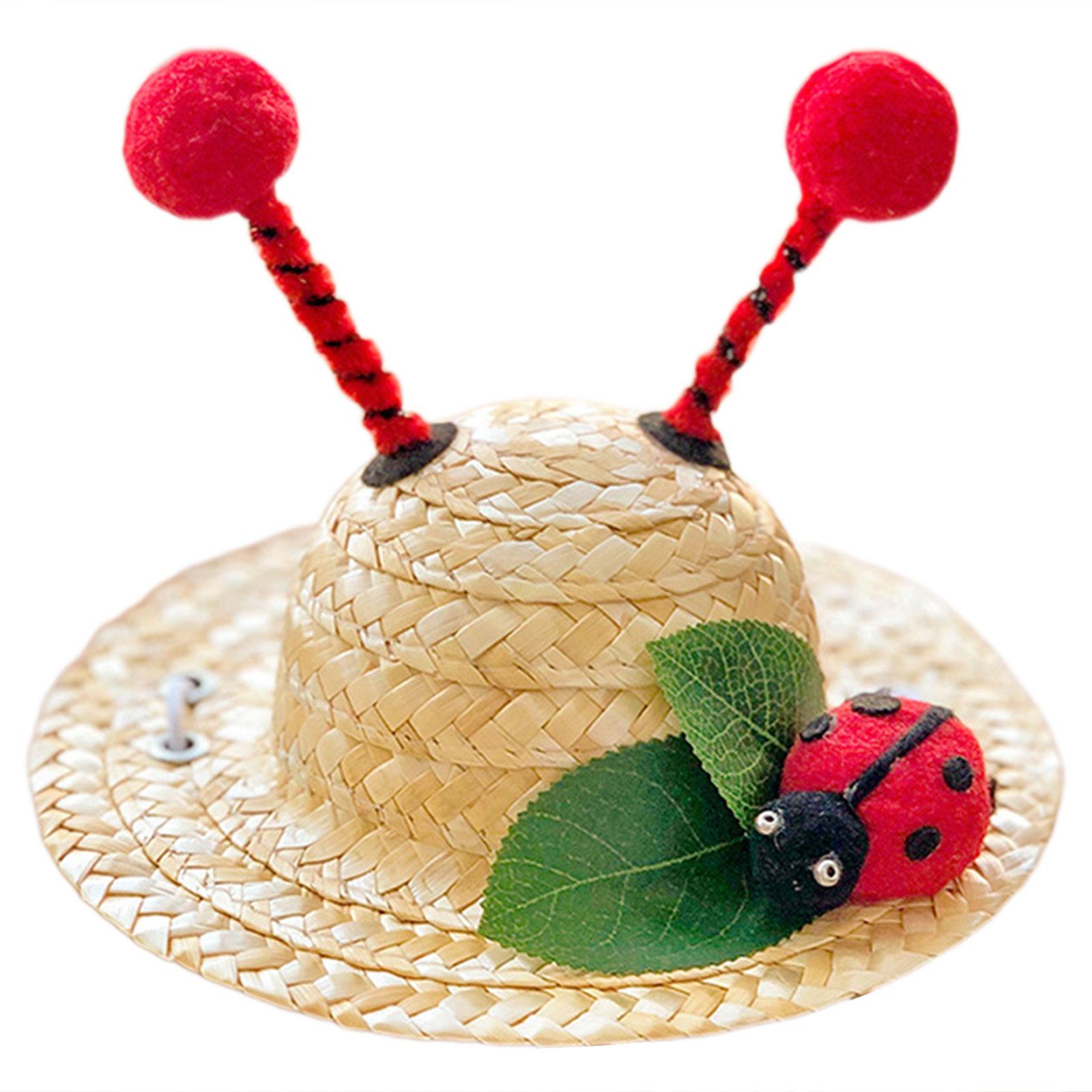 

Bees Ladybug Pattern Hat Travel Pet Hat Dog Walking Hat Vacation Dog Hat for Dog Walks and Beach Vacations M