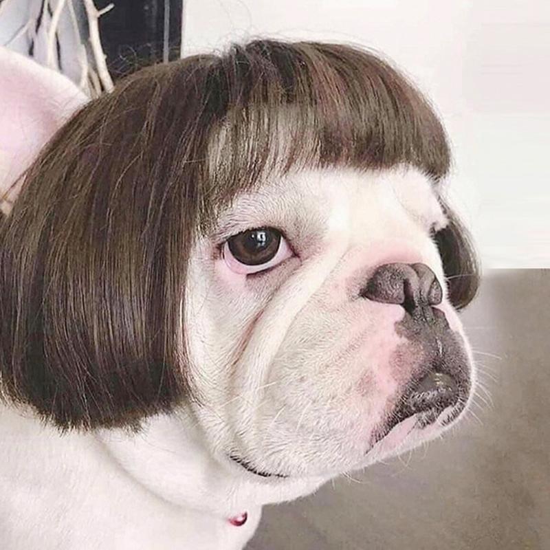 Regulable Dog Cats Wigs Soft Permeable Materials Easyly To Clean Perfect For Costume Parties Make Up