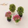 Miniature 1/12 Dollhouse Plant Pot Model; Home Ornament Dollhouse Garden Landscape Items