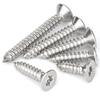 201 Stainless Steel Plum Slot Flat Head Self-Tapping Screws M2-M6