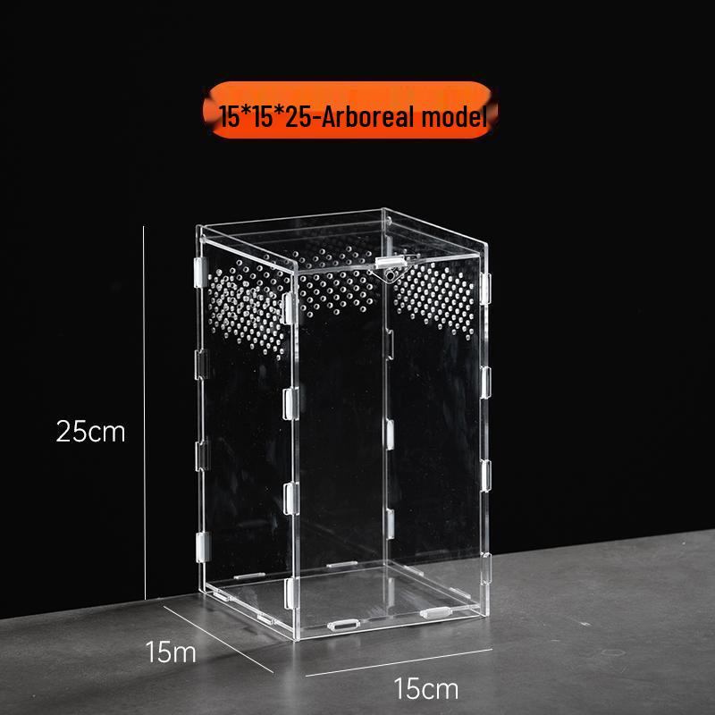 Small Acrylic Reptile Habitat: Transparent Observation Box for Spider, Lizard, Mantis, and Rainforest Landscape