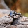 WOSIKATE Vintage Rose Flower Gold Colour Moonstone Thai CopperRing For Women  CopperFashion Jewellery Finger Ring