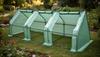 Awtools Tunnel Filmowy Mini Greenhouse 295X95X95Cm