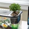 Clear Fishtanks With Safe Lid and Water Plant Holder For Gold Fish Home Desktop Decoration Aquariums Tanks
