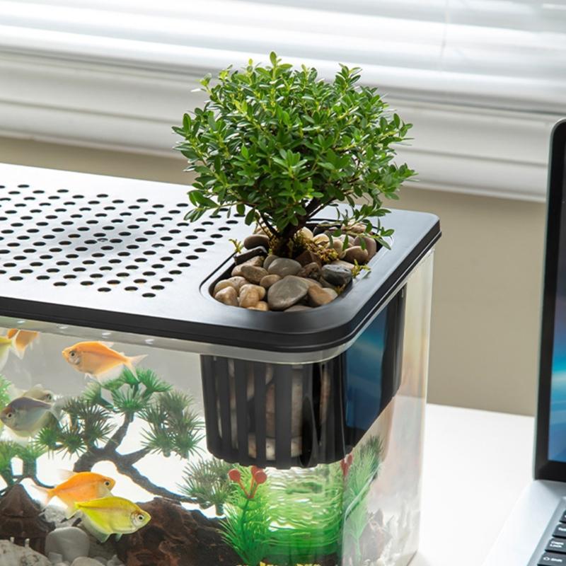 Clear Fishtanks With Safe Lid and Water Plant Holder For Gold Fish Home Desktop Decoration Aquariums Tanks