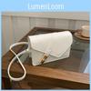 Trendy 2024 Fall Fashion Small Square Handbag For Women Stylish Shoulder Bag
