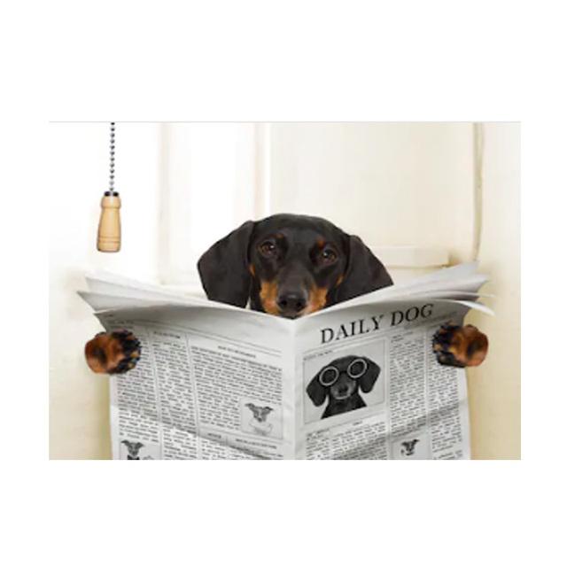 Toilet Decor Wall Art Cute Dog Canvas Painting Animal Posters and Prints Wall Pictures for Nursey Kitchen Kids Room Decoration No Frame