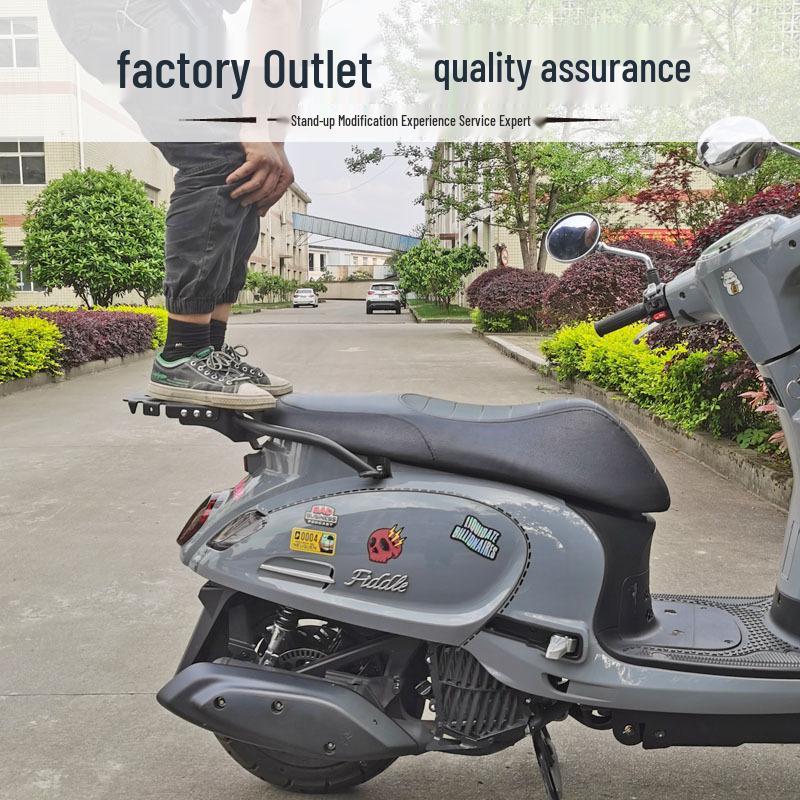 Aluminum Alloy Rear Luggage Rack for SYM Fiddle 4/5