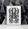 Black and White Poster Octopus