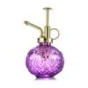 Embossed Glass Plant Sprinkler Kettle Candy Colored Watering Pot Watering Spray Bottle  Garden Tool