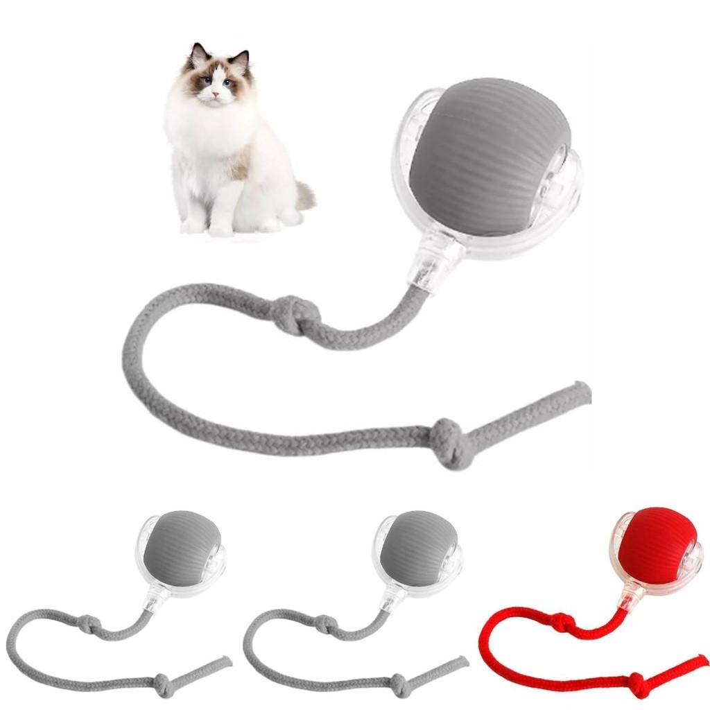 Interactive Silicone Cat Chew Ball For Fun Playful Moments And Endless Entertainment For Pets