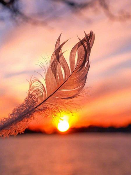 5D DIY Diamond Painting Sunset Cross Stitch Kit Diamond Embroidery Feather Mosaic Scenery Sale Picture Rhinestones Art