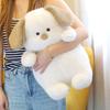 Bobo Wadun Animal Fox Dinosaur Doll Plush Toy Puppy Doll Pillow Ragdoll Children's Gift