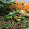 Cute Resin Frog Big Eyes Statue Lawn Ornaments Gift