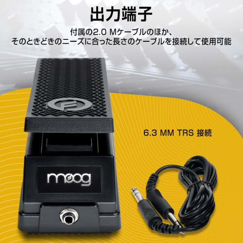 MOOG EP-3 Expression Pedal with Polarity Reverse Switch - Universal Expression Pedal for Keyboards, Synthesizers, and Effects