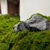 Artificial Moss Lawn Turf for Landscaping & Bonsai