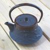 Nagao Mizusawa x Tsubame Sanjo Nanbu Ironware Teapot Landscape 180ml Made in Japan