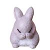 10Pcs Miniature Rabbit Figurines Resin Animal Statues Perfectly for Easter Decorations and Birthday Cake Toppers