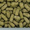 Hikari Malverick Dry Large Grain Food, 1kg (Herbivorous Reptile Food)