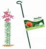 Podpora do roślin stalowa 60 cm lakierowana proszkowo zielona, stabilna