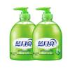 Blue Moon Aloe Antibacterial Hand Wash