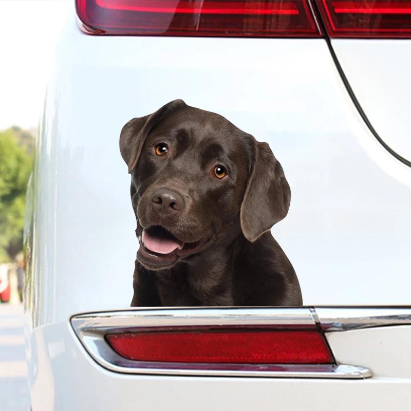 Cute Labrador Car Stickers Scratch Covering Self-Adhesive Waterproof Decal Motorcycle Decorative AccessoriesJM23